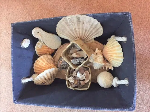shells treasure basket