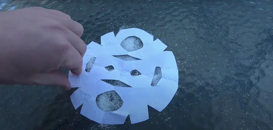 Snowflake mandala with sugar