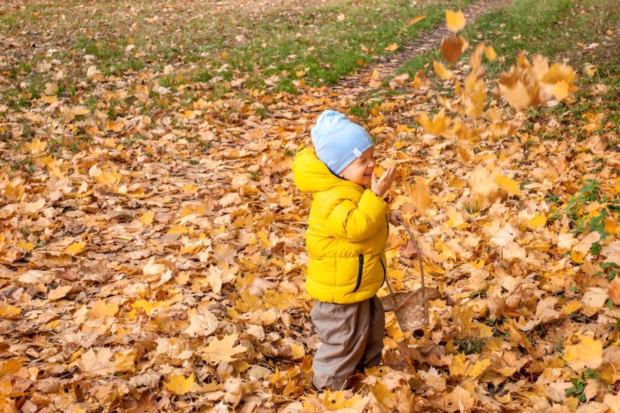 preschooler throwing leaves