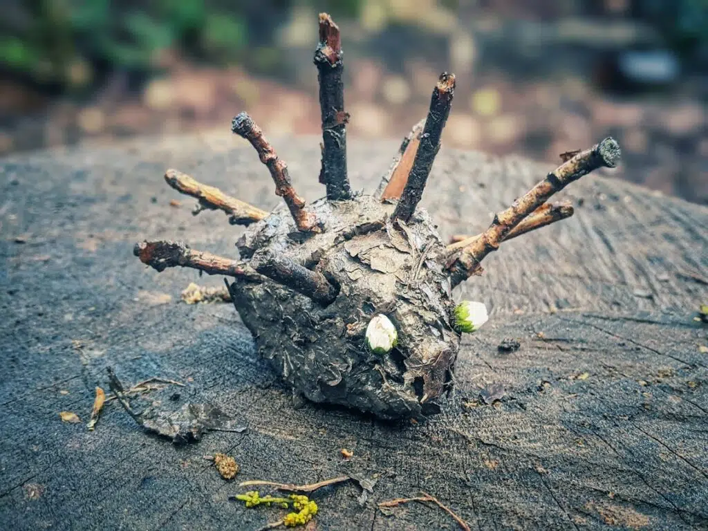 mud hedgehog forest school activity