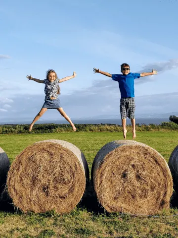 children jumping on brown hays during daytime