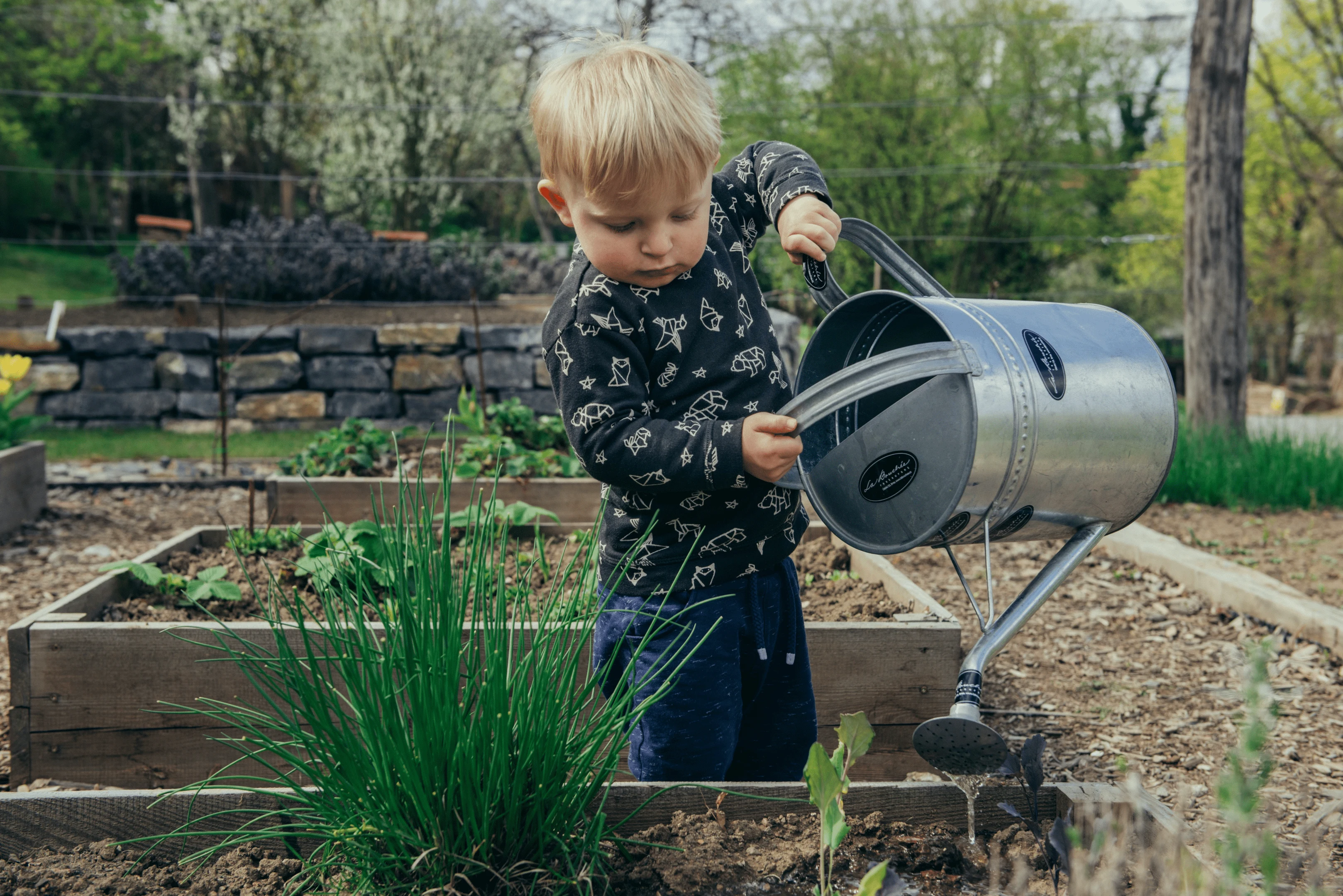 young boy watering plants